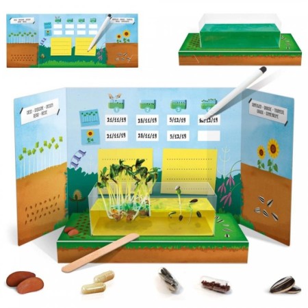 Headu Montessori - Jurnalul Stiintei Headu - 1